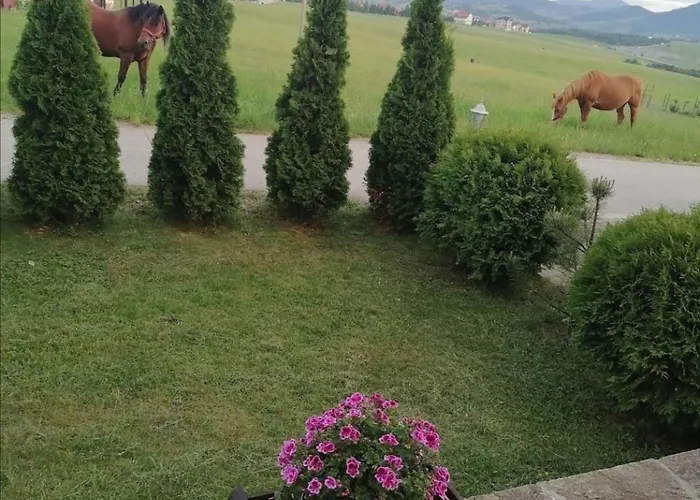 公寓 Pahulja 兹拉蒂博尔