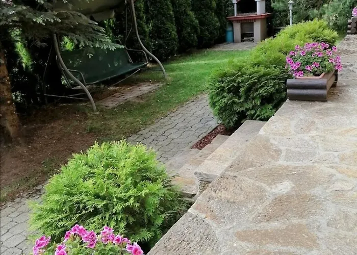 Pahulja * 兹拉蒂博尔