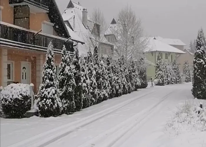 Pahulja * 兹拉蒂博尔